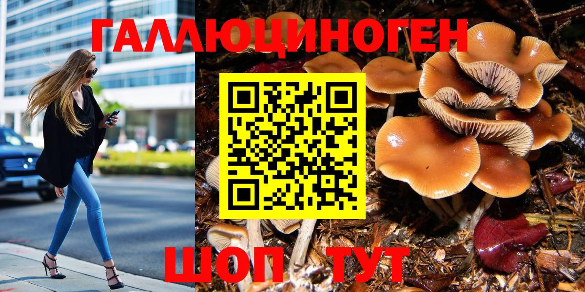 Галлюциногенные грибы прущие грибы Балтийск