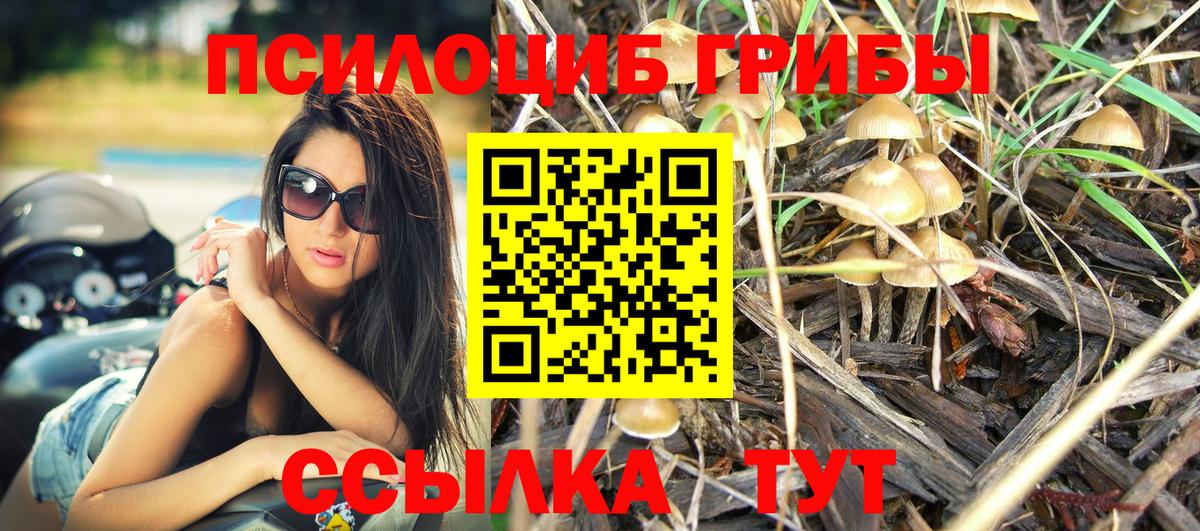 Балтийск  Галлюциногенные грибы Magic Shrooms  Псилоцибиновые грибы Magic Shrooms  Вход с VPN 