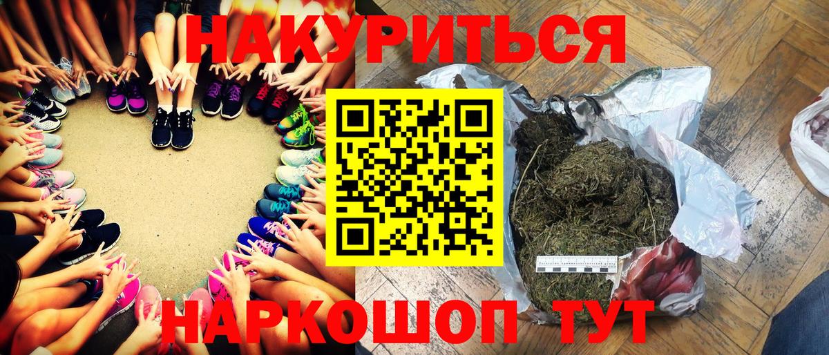 Конопля OG Kush Балтийск